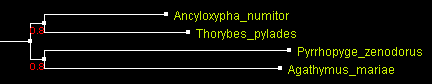 Hesp42BioNJ_ATV.gif