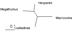 MegO_4_MrBayes_.gif